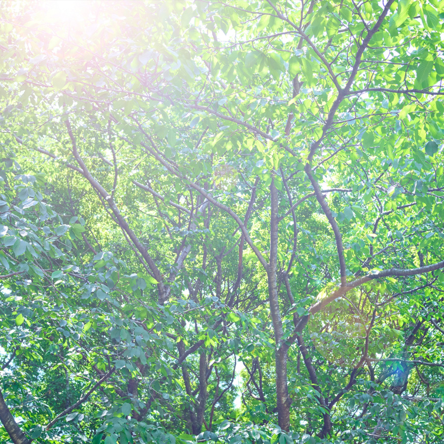 いちメンタルクリニック奈良医大前